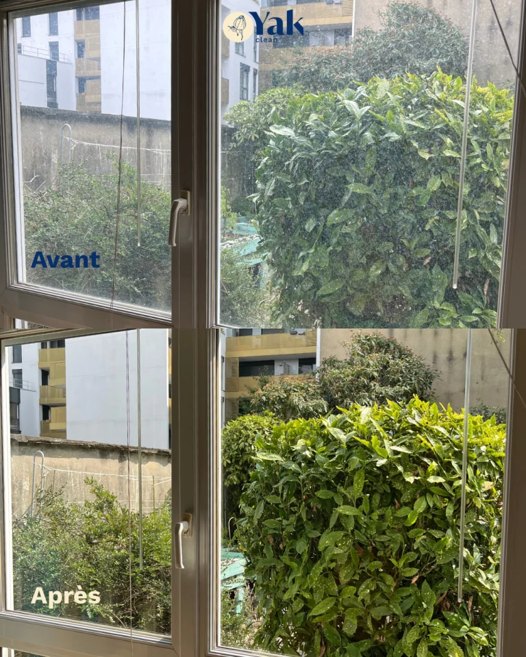 Avant/après nettoyage de vitres professionnel YAK Clean-2